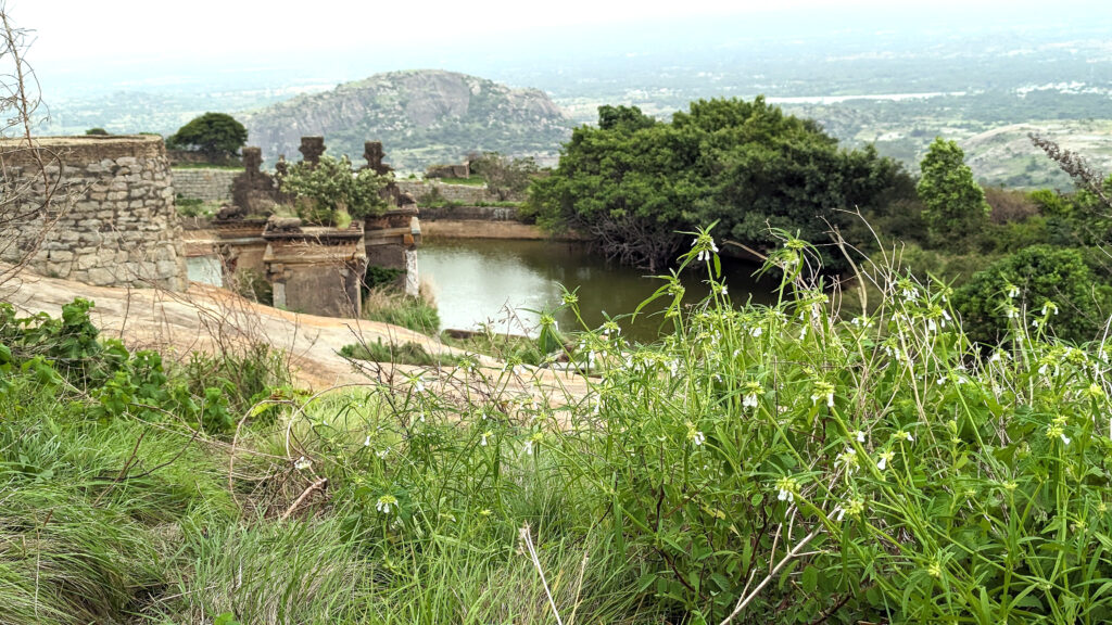 Pond at the Channarayana Durga Fort