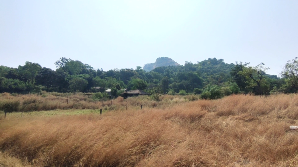 Sankshi Fort Trek-Summit